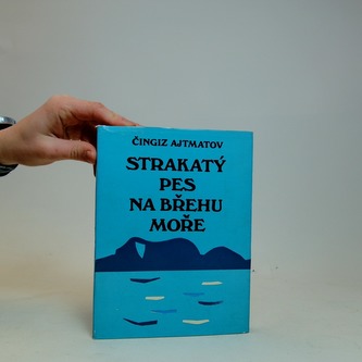 Strakatý pes na břehu moře