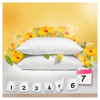 Lenor aviváž Sunny Floret , 48 Praní 1,42 l