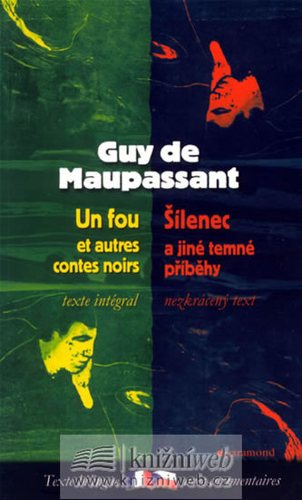 Šílenec a jiné temné příběhy / Un fou et autres contes noirs