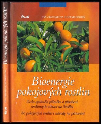 Bioenergie pokojových rostlin