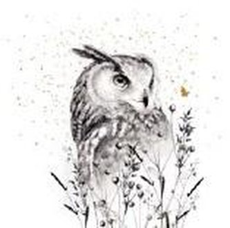 Karnet Złocony kwadrat CL3817_BL Sowa