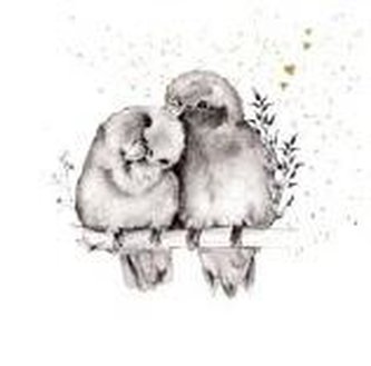 Karnet Złocony kwadrat CL3818_BL Ptaszki