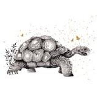 Karnet Złocony kwadrat CL3820_BL Żółw