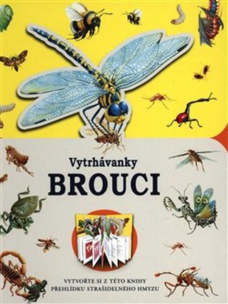 Vytrhávanky - Brouci