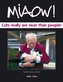 Miaow- Cats Really are Nicer Than People
