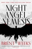 Night Angel Nemesis