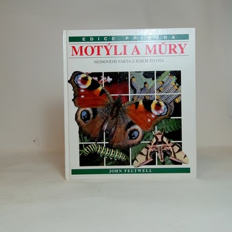 Motýli a Můry