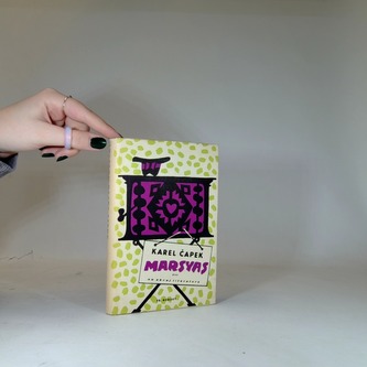 Marsyas čili na okraj literatury