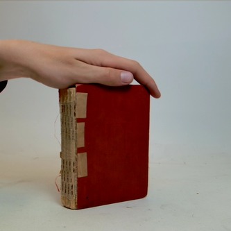 "Čiki" zlaté ptáče