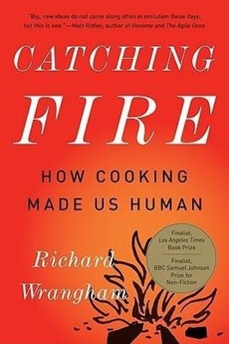 Catching Fire: How Cooking Made Us Human