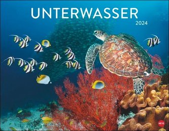 Unterwasser Posterkalender 2024
