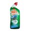 Pratic Gel WC Disincrostante čistič toalety 750 ml