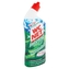 WC Net Intense gel s horskou vůní 750 ml