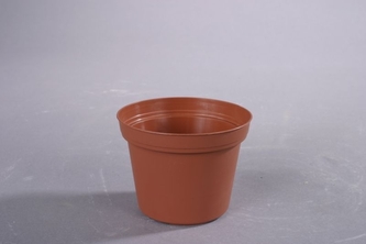 květ.  d10cm PREMIUM VCG/leh 15 kusů