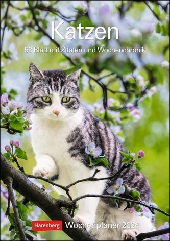 Katzen Wochenplaner 2024