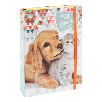 Box na sešity A4 Jumbo MaXi - Best Friends