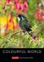 Colourful World Wochenplaner 2024