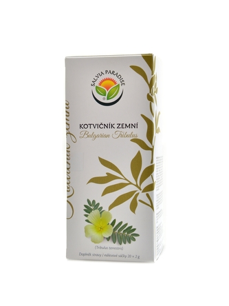 Salvia paradise - Kotvičník zemní tribulus terrestris nálevové sáčky 20 x 2g