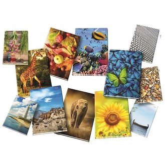 Záznamní kniha, A4, čistá, 96 listů