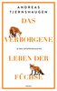Das verborgene Leben der Füchse