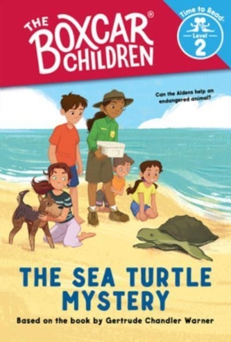 SEA TURTLE MYSTERY