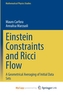Einstein Constraints and Ricci Flow