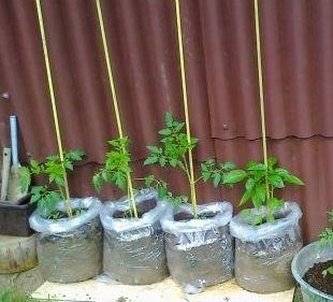 Vrece na pestovanie LDPE priehľadný 70 x 120 cm / 0,18