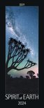 Spirit of Earth 2024