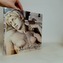 Michelangelo