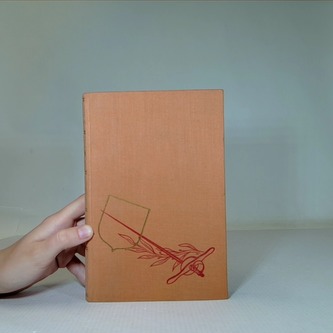 Důmyslný rytíř Don Quijote de la Mancha I.