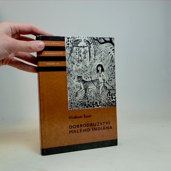 Dobrodružství malého indiána