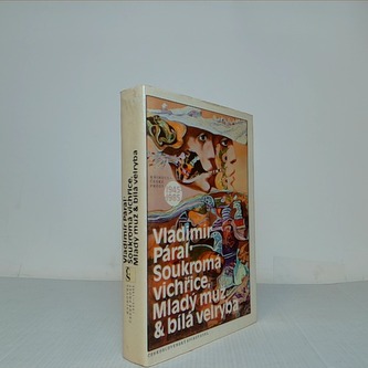 Soukromá vichřice, Mladý muž a bílá velryba