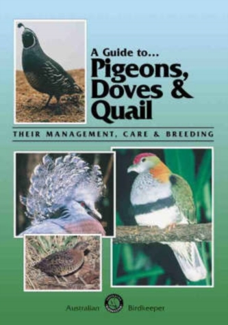 Pigeons, Doves and Quail