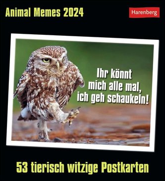 Animal Memes Postkartenkalender 2024