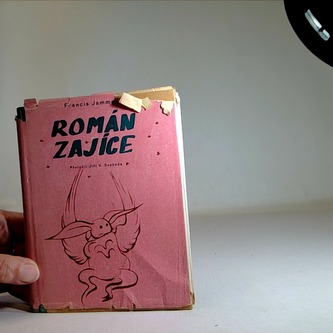Román zajíce