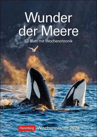 Wunder der Meere Wochenplaner 2024