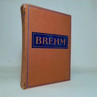 Brehmův život zvířat IV
