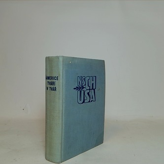 Americe tváří v tvář