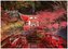 Japan 2024 S 24x35cm