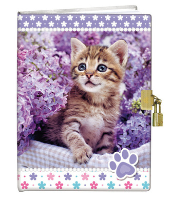 Památník se zámkem Kotě