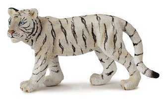 Tiger biely mláďa stojaci