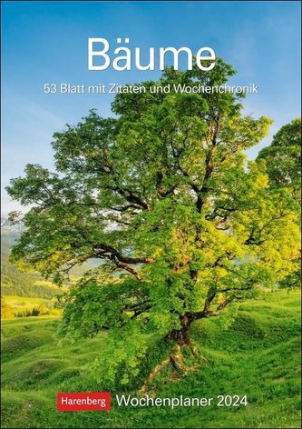 Bäume Wochenplaner 2024