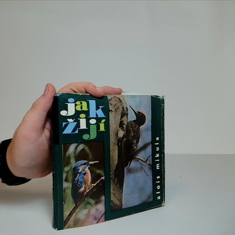 Jak žijí