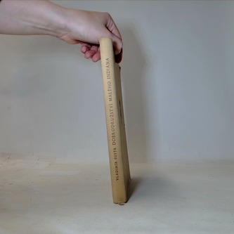 Dobrodružstvá malého indiána