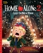Home Alone 2