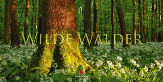 Wilde Wälder Kalender 2024