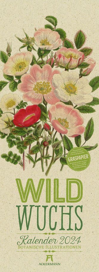 Wildwuchs - Botanische Illustrationen - Graspapier-Kalender 2024