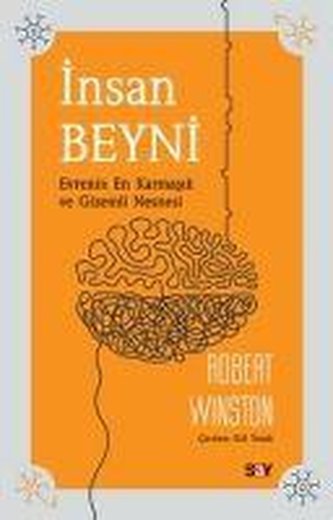 Insan Beyni