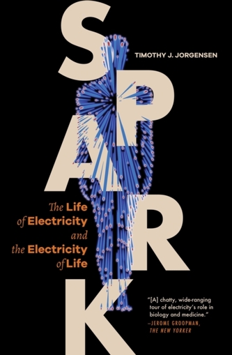 Spark