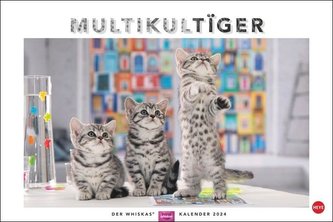 Whiskas Katzenkalender 2024